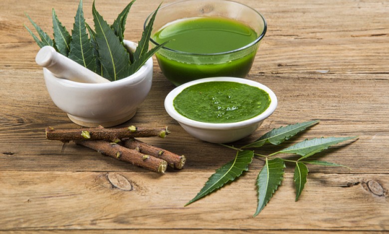 Amazing Benefits of NEEM for Skin, Hair and Body 